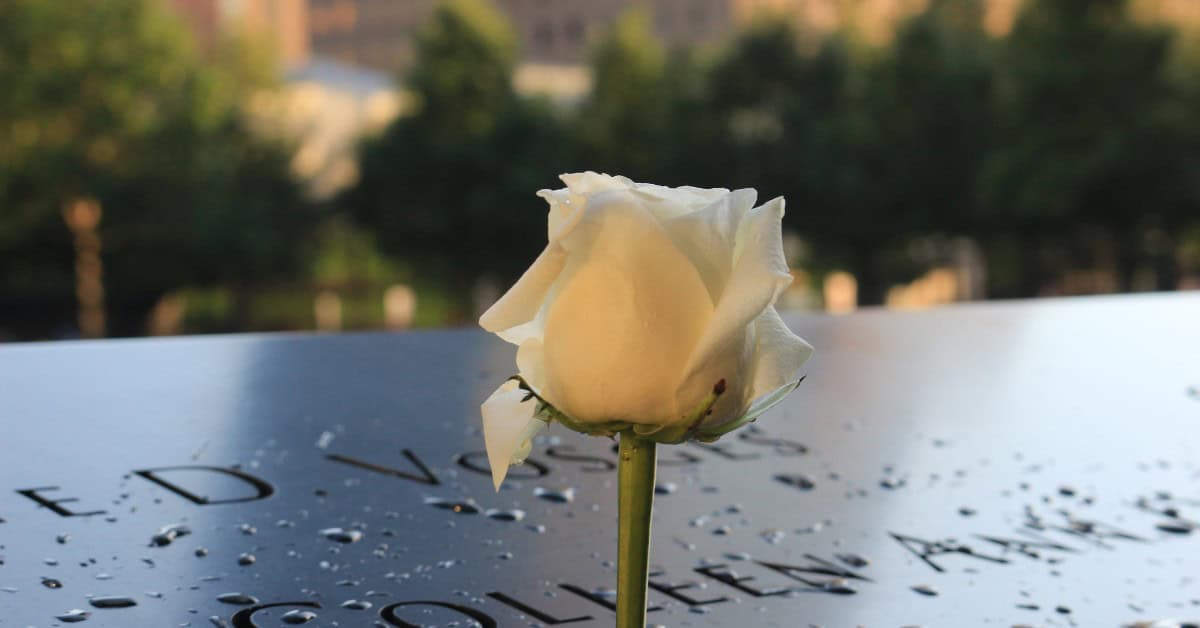 9/11 Memorial Rose