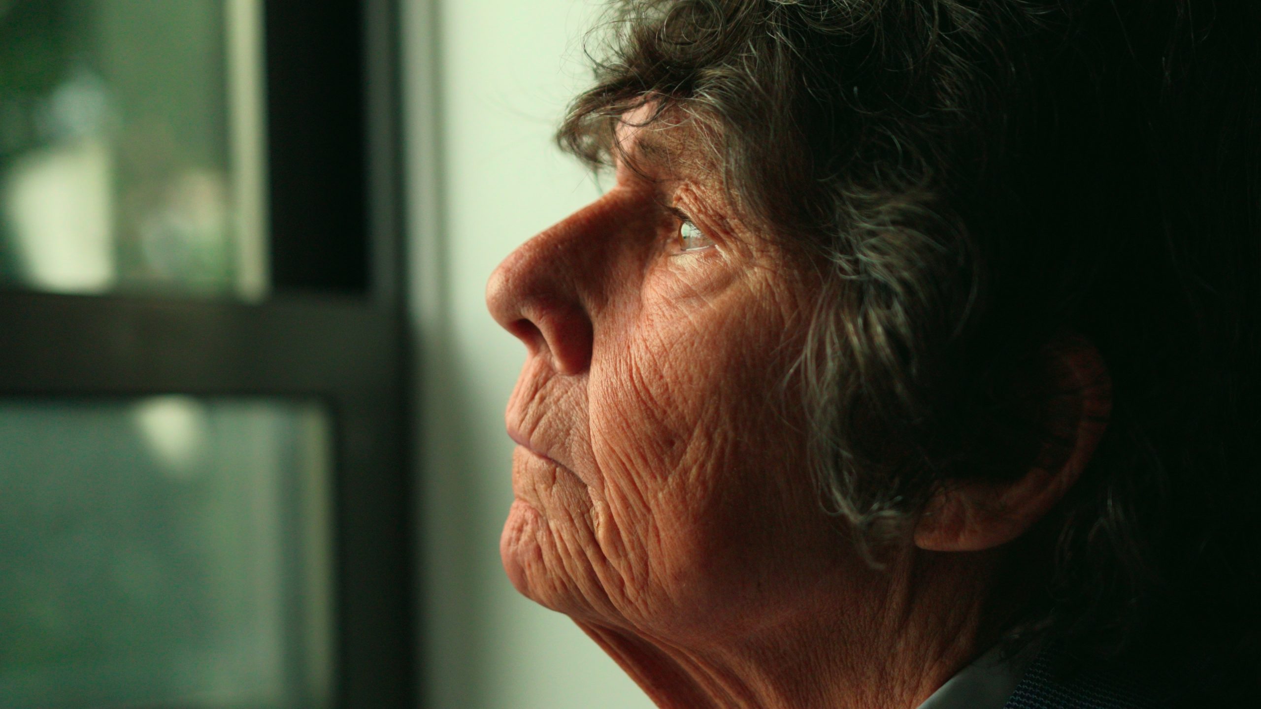 Community in Action: Profile by a Window Close-up profile of a person looking toward a window.